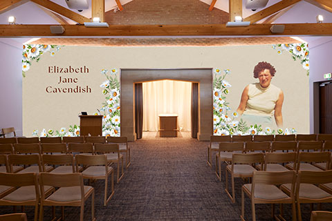 Daisies Projection Image