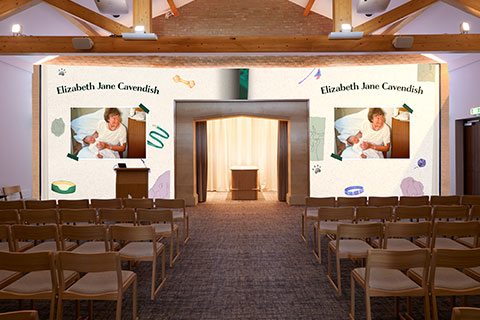 Pets Projection Image