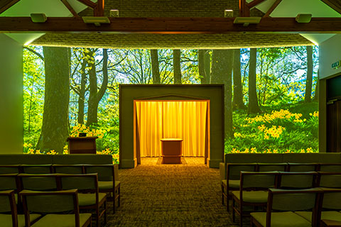 Spring Projection Image